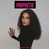 Track cover