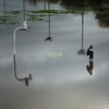 Track cover