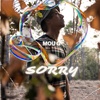 Track cover