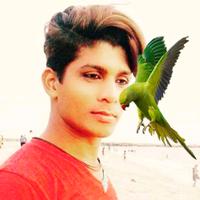 original sound - Noufal khan123