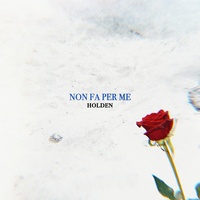 Non fa per me Holden