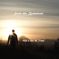 Mi-E dor de Tine!