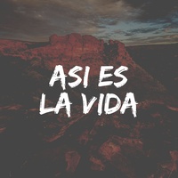 Asi es la Vida