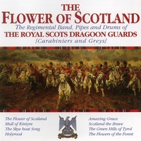 Flower of Scotland
