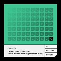 I Want You (Forever) - Josh Butler Remix - Shorter Edit
