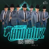 La Danza Del Chicahual - En Vivo