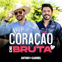 Coração de Bruta
