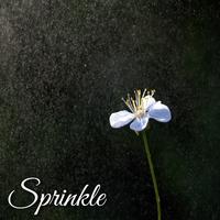 Sprinkle