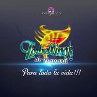 El Son de la Iguana