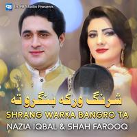 Shrang Warka Bangro Ta - From "Za Gandageer Yama"