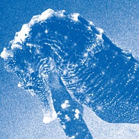 Dawn in the Adan (live at Bunkamura Orchard Hall, Tokyo, 2021)