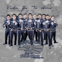 Sound cover