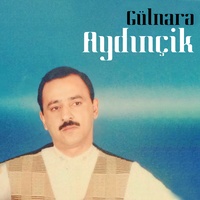 Gülnarə - Bir Yari Var Həcinin