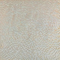 overabundantly thamudean (60)