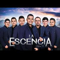 Junto a Ti