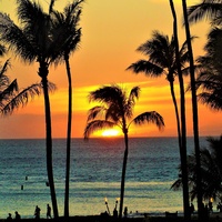 Sunset Vibes