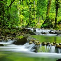Relaxing Music With Water Sounds