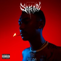 สรัล - Duet Version