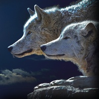 Wolf Sounds