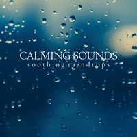 Raindrops Sounds, Pt. 23