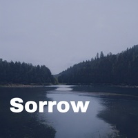 Sound image