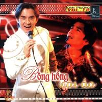 Bông Hồng Cài Áo