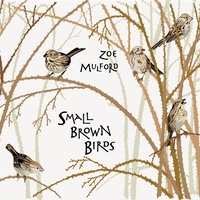 Blackbird