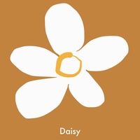 Daisy Lofi