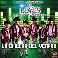Lagrimas Del Corazón