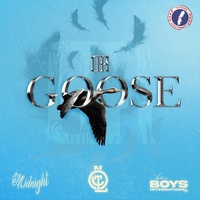 GOOSE