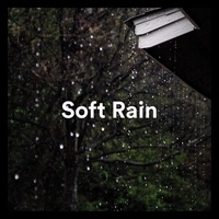 Soft Rain