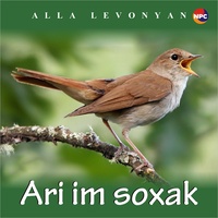 Ari Im Soxak