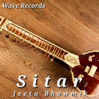 Sitar - Indian sitar