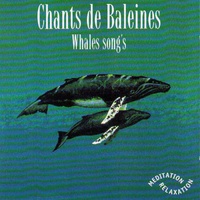 Whales Songs - Deep Ocean