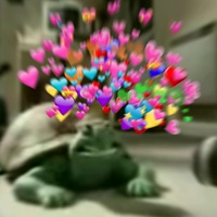 Turtle Song Persian Language 2.0