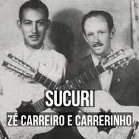 Sucuri
