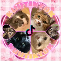 オカンがしつこいねん