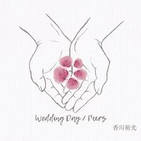Wedding Day (Instrumental)
