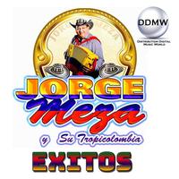 Esta Noche Quiero Volar