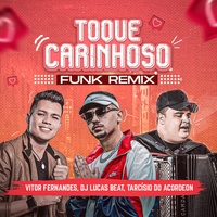 Toque Carinhoso - Funk Remix