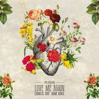 Love Me Again  - Remix