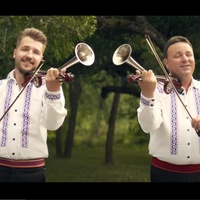 Polca de la Varciorog