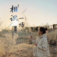 相识一场-王佳杨