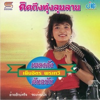 คิดถึงทุ่งลุยลาย