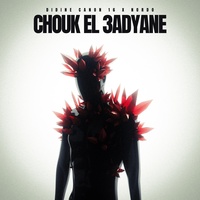 Chouk el 3adyane