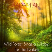 Spring Forest Birds Sing Near the Road