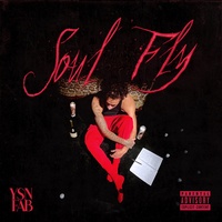 Soul Fly