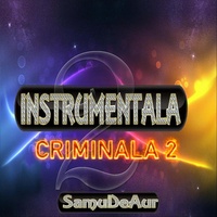 Instrumentala Criminala 2