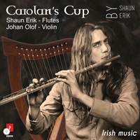 Irish flute