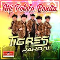 Mi Polola Bonita
